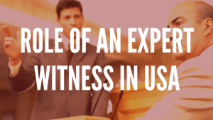 expert witness